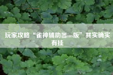 玩家攻略“雀神辅助器ios版”其实确实有挂