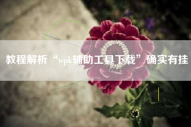 教程解析“wpk辅助工具下载”确实有挂