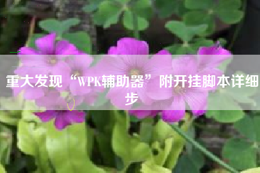 重大发现“WPK辅助器”附开挂脚本详细步