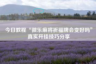 今日教程“微乐麻将祈福牌会变好吗”真实开挂技巧分享