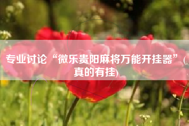 专业讨论“微乐贵阳麻将万能开挂器	”(真的有挂)