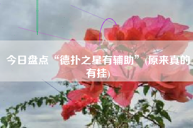 今日盘点“德扑之星有辅助”(原来真的有挂)