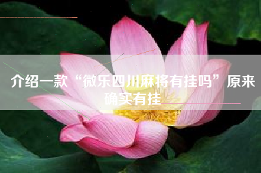 介绍一款“微乐四川麻将有挂吗”原来确实有挂