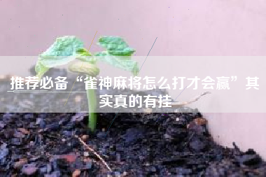 推荐必备“雀神麻将怎么打才会赢	”其实真的有挂
