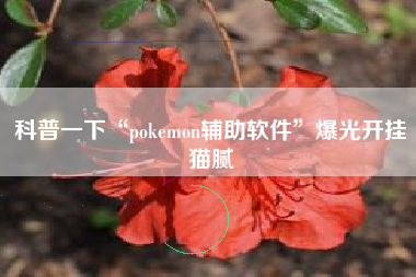 科普一下“pokemon辅助软件”爆光开挂猫腻