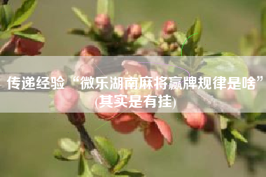 传递经验“微乐湖南麻将赢牌规律是啥”(其实是有挂)