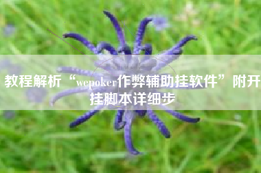 教程解析“wepoker作弊辅助挂软件”附开挂脚本详细步