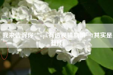 我来告诉你“wpk有透视辅助嘛”(其实是有挂)