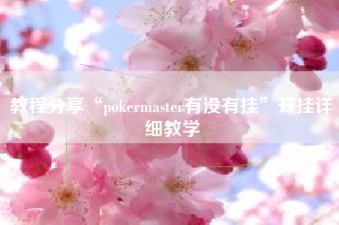 教程分享“pokermaster有没有挂”开挂详细教学