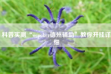 科普实测“wepoker德州辅助	”教你开挂详细