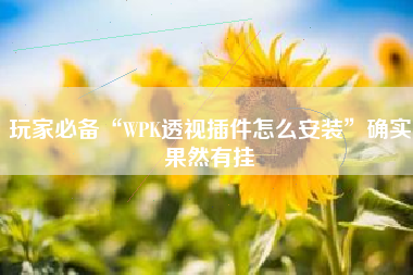 玩家必备“WPK透视插件怎么安装”确实果然有挂