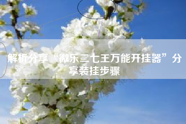 解析分享“微乐二七王万能开挂器”分享装挂步骤