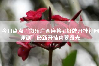 今日盘点“微乐广西麻将A3纸牌开挂神器评测”最新开挂内幕曝光