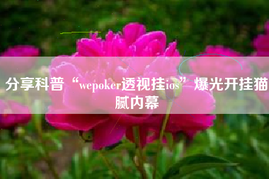 分享科普“wepoker透视挂ios”爆光开挂猫腻内幕