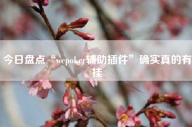 今日盘点“wepoker辅助插件”确实真的有挂