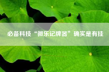必备科技“微乐记牌器”确实是有挂