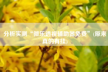 分析实测“微乐透视辅助器免费”(原来真的有挂)