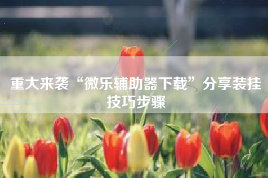 重大来袭“微乐辅助器下载”分享装挂技巧步骤