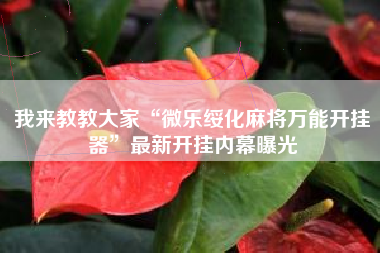 我来教教大家“微乐绥化麻将万能开挂器”最新开挂内幕曝光