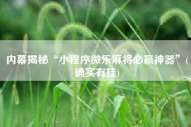 内幕揭秘“小程序微乐麻将必赢神器”(确实有挂)