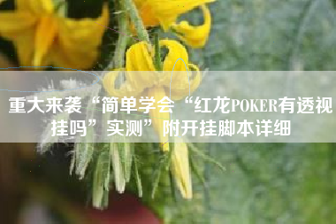 重大来袭“简单学会“红龙POKER有透视挂吗”实测	”附开挂脚本详细