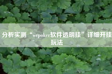 分析实测“wepoker软件透明挂”详细开挂玩法