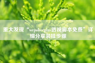 重大发现“wepokerplus透视脚本免费”详细分享装挂步骤