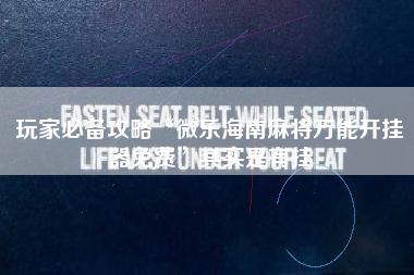 玩家必备攻略“微乐海南麻将万能开挂器免费”其实是有挂