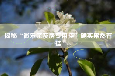 揭秘“微乐亲友房专用挂”确实果然有挂