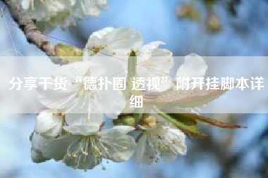 分享干货“德扑圈 透视	”附开挂脚本详细