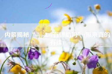 内幕揭秘“wepoker有辅助吗”(原来真的有挂)