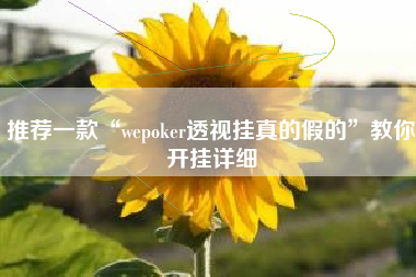 推荐一款“wepoker透视挂真的假的”教你开挂详细