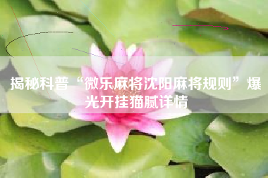 揭秘科普“微乐麻将沈阳麻将规则”爆光开挂猫腻详情