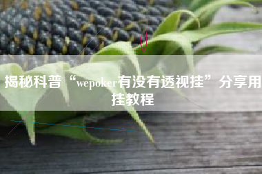 揭秘科普“wepoker有没有透视挂”分享用挂教程