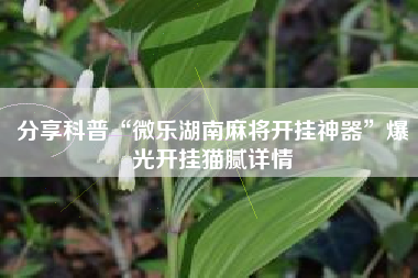 分享科普“微乐湖南麻将开挂神器”爆光开挂猫腻详情