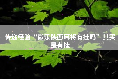 传递经验“微乐陕西麻将有挂吗”其实是有挂