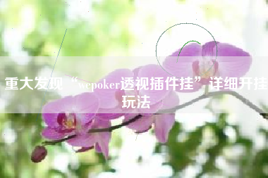 重大发现“wepoker透视插件挂”详细开挂玩法