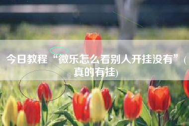 今日教程“微乐怎么看别人开挂没有	”(真的有挂)