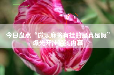 今日盘点“微乐麻将有挂的是真是假”爆光开挂猫腻内幕