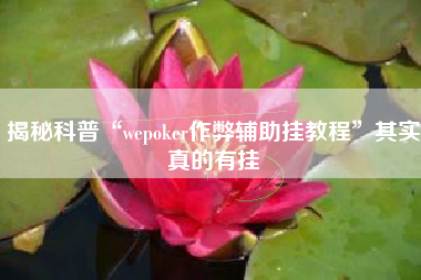 揭秘科普“wepoker作弊辅助挂教程”其实真的有挂
