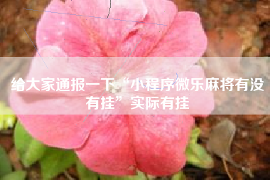 给大家通报一下“小程序微乐麻将有没有挂”实际有挂