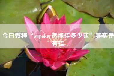 今日教程“wepoker透视挂多少钱”其实是有挂