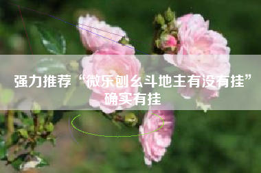 强力推荐“微乐刨幺斗地主有没有挂”确实有挂