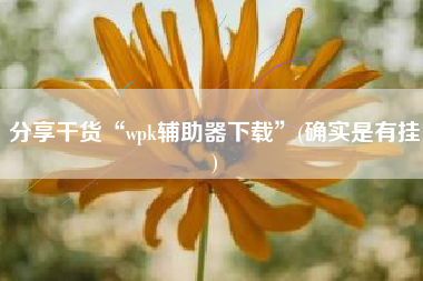 分享干货“wpk辅助器下载	”(确实是有挂)