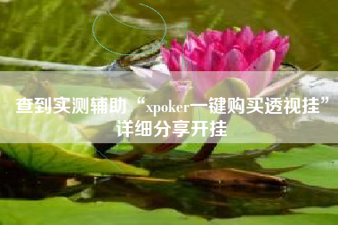 查到实测辅助“xpoker一键购买透视挂”详细分享开挂