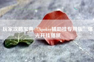 玩家攻略宝典“Xpoker辅助挂专用版	”爆光开挂猫腻