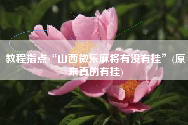 教程指点“山西微乐麻将有没有挂	”(原来真的有挂)