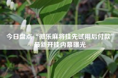 今日盘点“微乐麻将挂先试用后付款	”最新开挂内幕曝光
