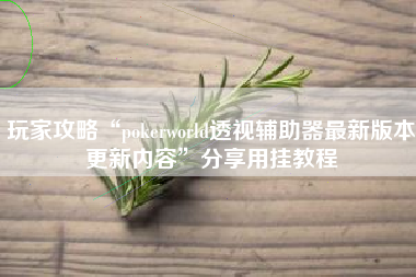 玩家攻略“pokerworld透视辅助器最新版本更新内容”分享用挂教程
