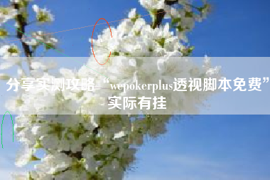 分享实测攻略“wepokerplus透视脚本免费”实际有挂